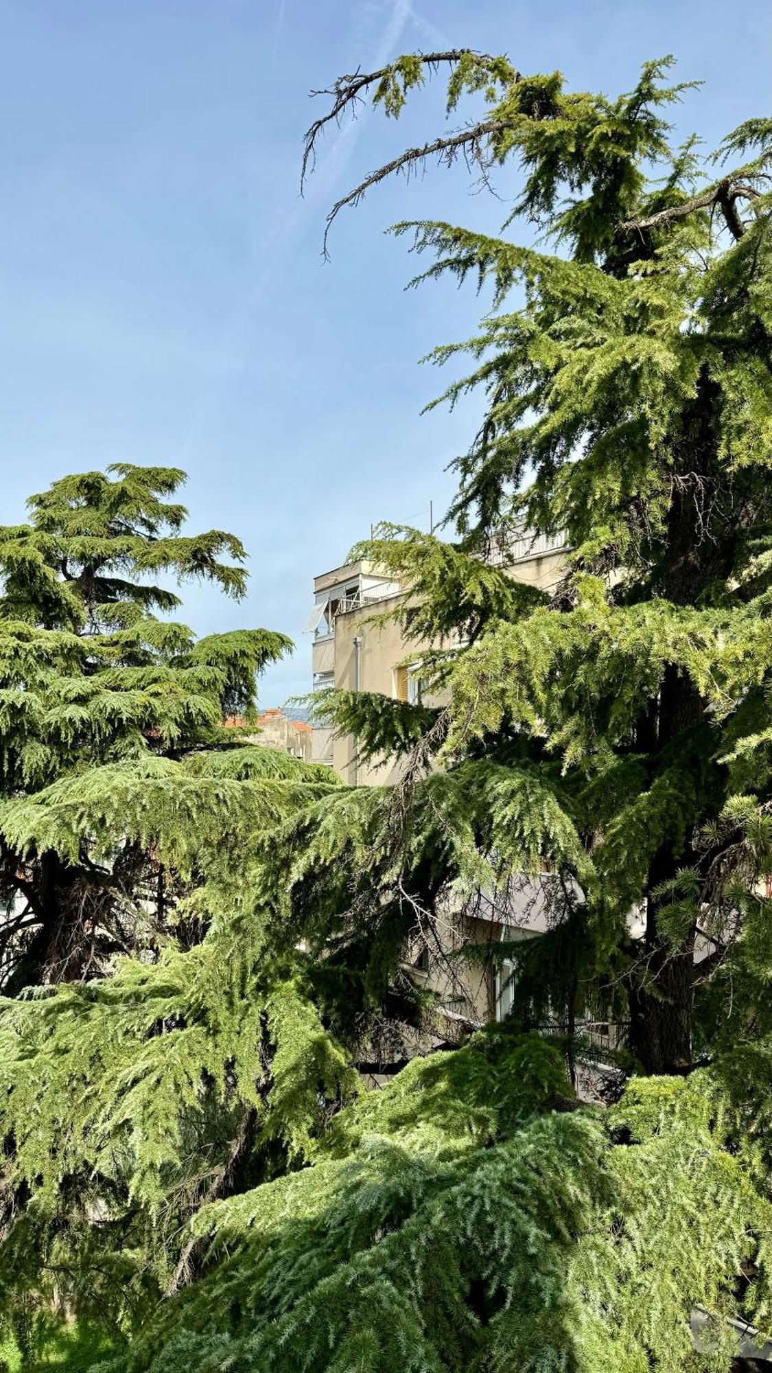 Jardin Rooms Split Bagian luar foto